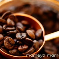 お得な定期便♪送料無料！毎月新しい２種類の珈琲豆が届くお楽しみ♪【深煎りおまかせ定期便　※粉で希望】