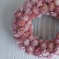 いちご畑のリース