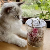 フラワーキャニスター