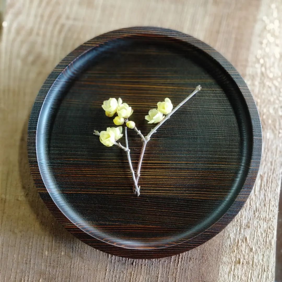 漆丸盆 24cm | 杉の木クラフト
