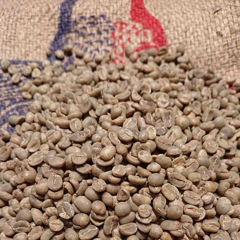 インドネシア スンダ ジャバ（コーヒー生豆） 5kg | モンデンコーヒー