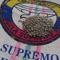 ケニア マサイ AA（コーヒー生豆） 5kg | モンデンコーヒー