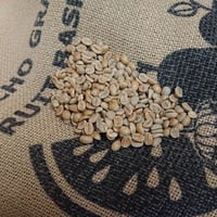 ウガンダ カウェリエステート ナチュラル（コーヒー生豆） 10kg