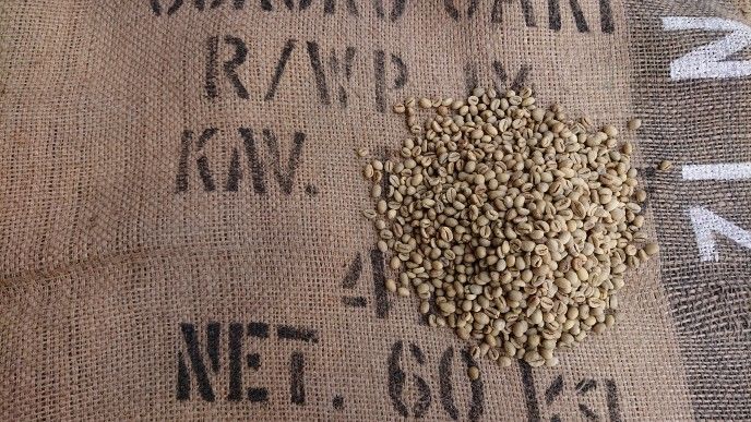 インドネシア WIB-1 プライベート Mサイズ（コーヒー生豆） 10kg