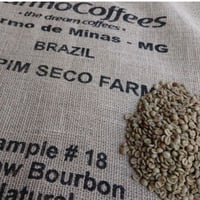 ブラジル サントス No.4/5（コーヒー生豆） 10kg | モンデンコーヒー