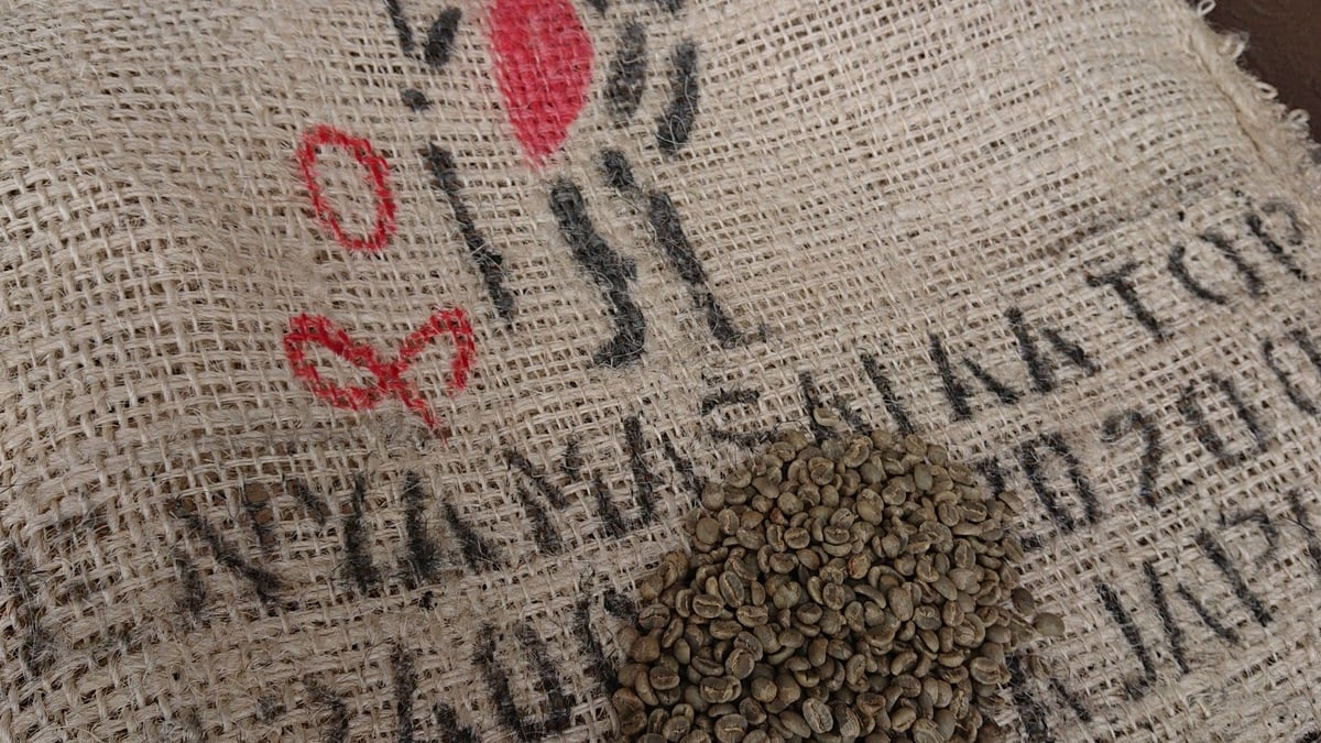 ケニア マサイ AA（コーヒー生豆） 5kg | モンデンコーヒー