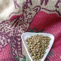 インドネシア マンデリン G-1（コーヒー生豆） 10kg | モンデンコーヒー