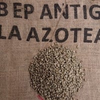 ウガンダ カウェリエステート ナチュラル（コーヒー生豆） 10kg