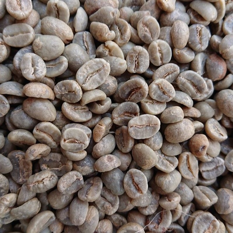 タンザニア キリマンジャロ AA（コーヒー生豆） 1kg | モンデンコーヒー