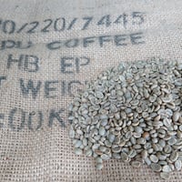 ブラジル サントス No.4/5（コーヒー生豆） 10kg | モンデンコーヒー