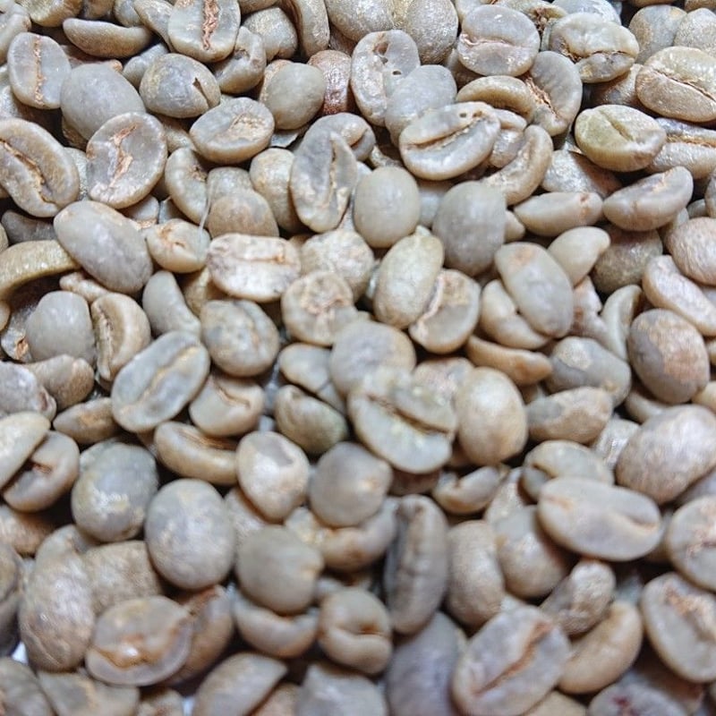 ブラジル サントス No.4/5（コーヒー生豆） 5kg | モンデンコーヒー
