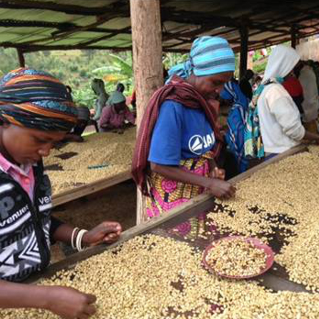 生豆　ルワンダ 5kg　 生豆　コスタリカ　5kg 生豆 ルワンダ 5kg 生豆 コスタリカ 5kg 生豆 ルワンダ 5kg 生豆