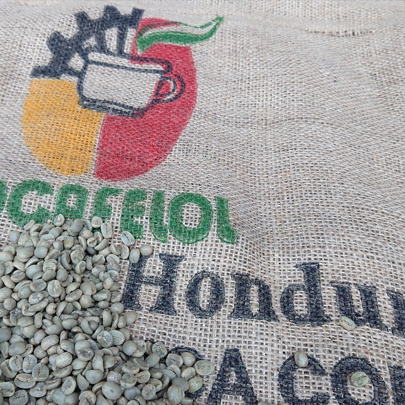 ホンジュラス ＨＧ（コーヒー生豆） 10kg | モンデンコーヒー