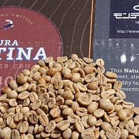 インドネシア マンデリン G-1（コーヒー生豆） 10kg | モンデンコーヒー