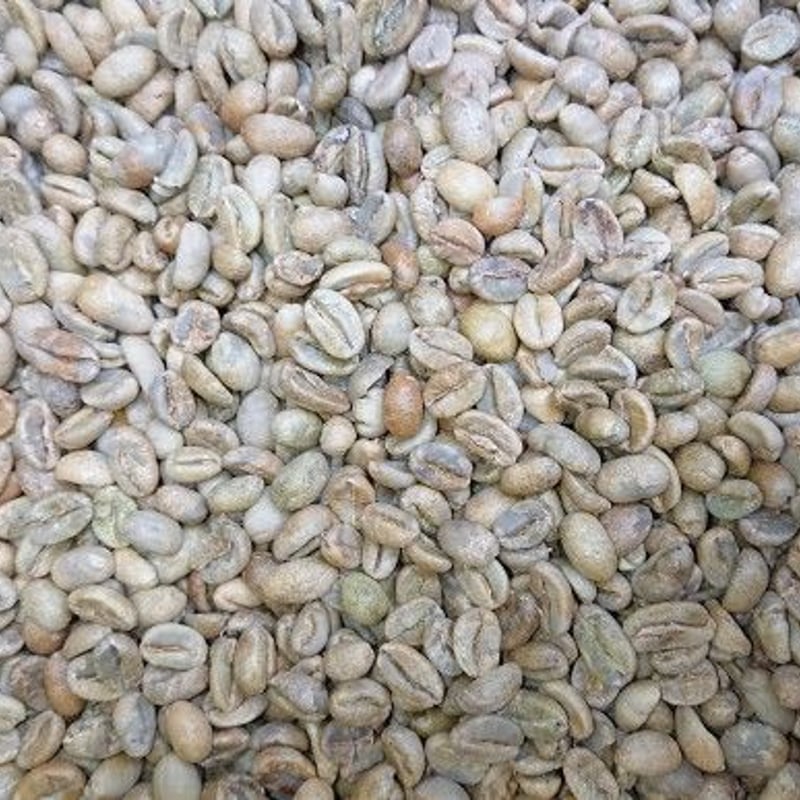 エチオピア モカ レケンプティ（コーヒー生豆） 1kg | モンデンコーヒー