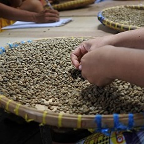 ★売り切れました★今月の限定珈琲　500g(250×2）【受注焙煎】  （５月２５日～６月中旬まで販売予定）