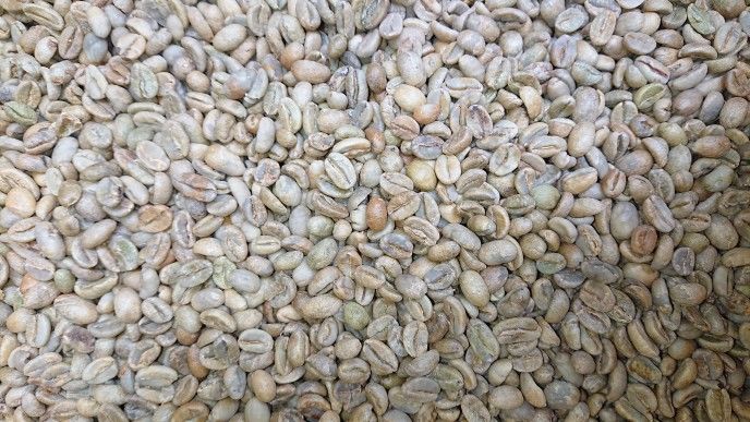 【コーヒー生豆】モカ シダモ エチオピア 10kg　 ※送料無料！！ 楽天市場】【ポイント5倍】 コーヒー豆 エチオピア モカ・シダモ 小袋