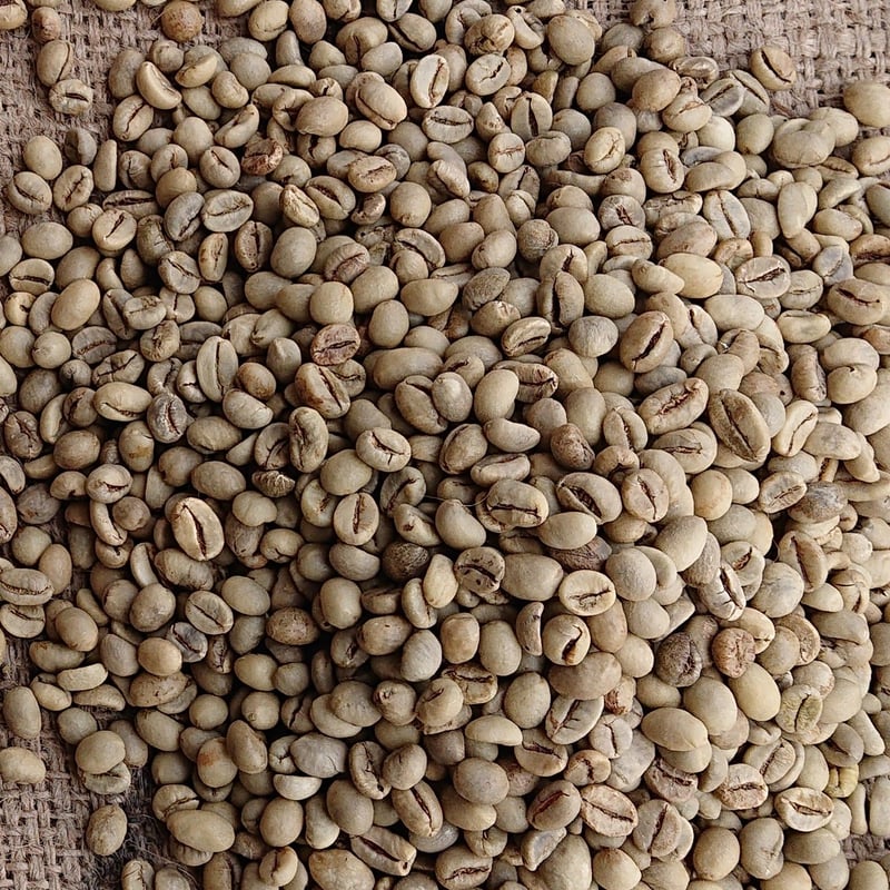 インドネシア WIB-1 プライベート Mサイズ（コーヒー生豆） 10kg