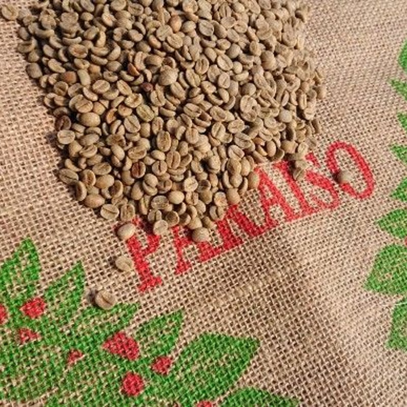 コーヒー生豆 5kg ブラジル パライーソ No2 大容量 ブラジル パライーソ NO.2 17/18（コーヒー生豆） 5kg | モンデンコーヒー