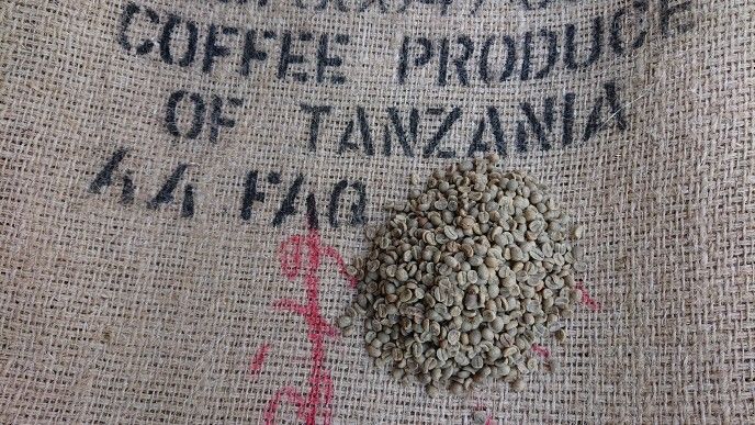【コーヒー生豆】キリマンジャロ　タンザニア AA 5kg　 ※送料無料 Amazon | 松屋珈琲 コーヒー生豆 タンザニア （キリマンジャロ