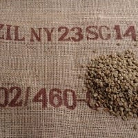 【コーヒー生豆】キューバ TL　10kg 　※送料無料！