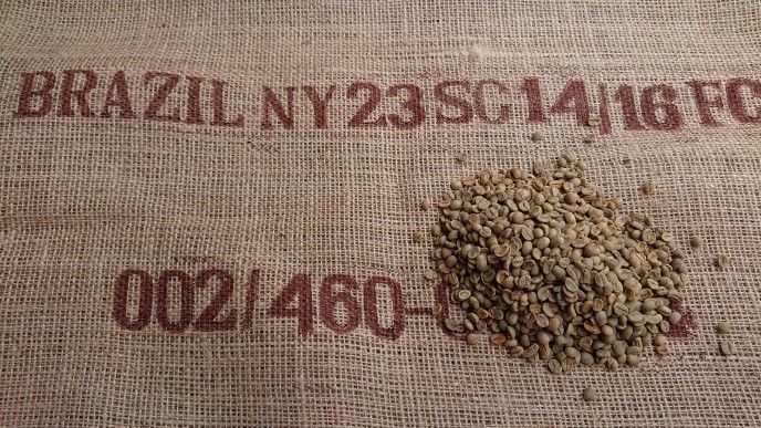 ブラジル サントス No.4/5（コーヒー生豆） 10kg | モンデンコーヒー