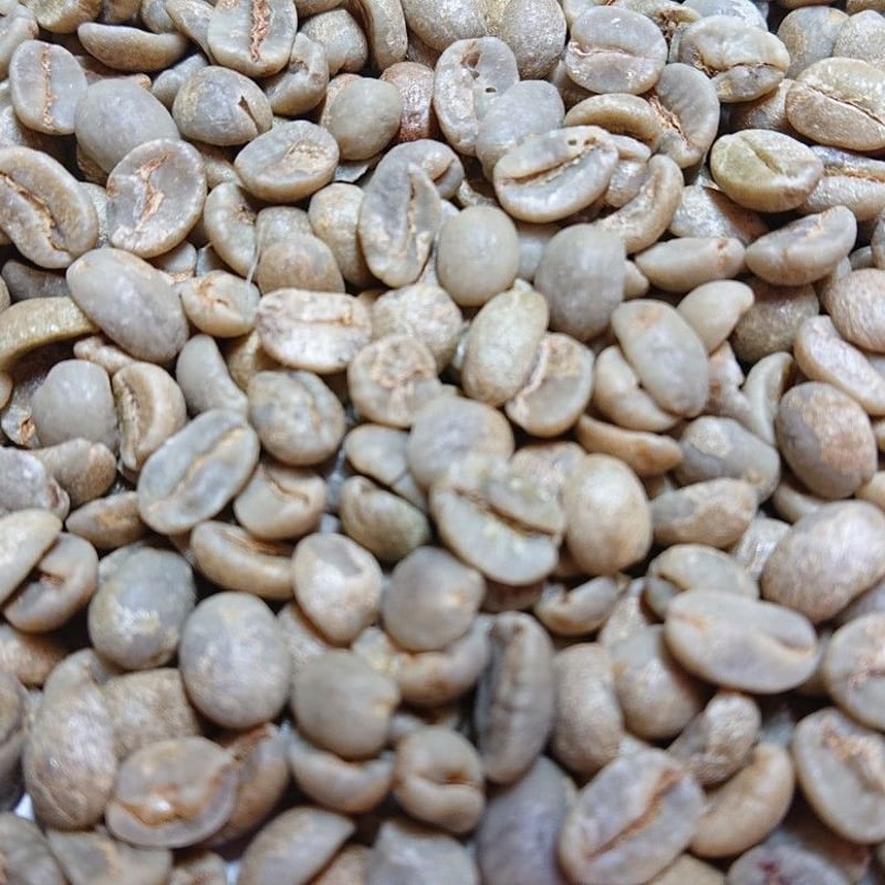 ブラジル サントス No.4/5（コーヒー生豆） 1kg | モンデンコーヒー
