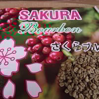 爆安！！[コーヒー 生豆 ]ブラジル5kg/ホンジュラス5kgの2種セット 爆安！！[コーヒー 生豆 ]ブラジル5kg/ホンジュラス5kgの2種