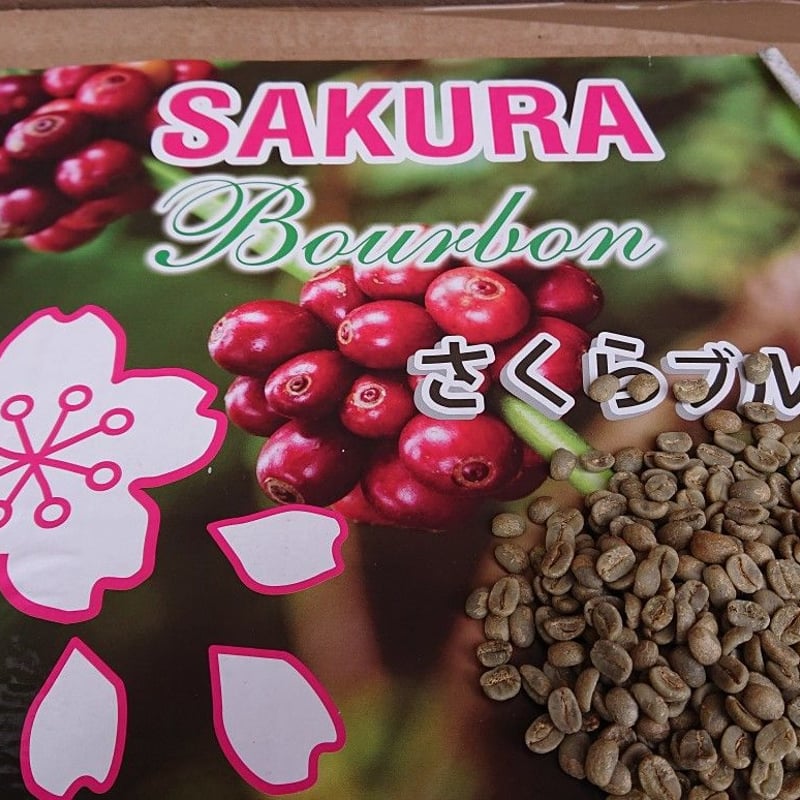 ブラジル さくらブルボン（コーヒー生豆） 5kg | モンデンコーヒー