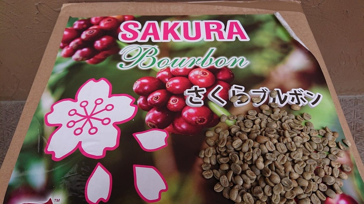 爆安！！[コーヒー 生豆 ]ブラジル5kg/ホンジュラス5kgの2種セット ブラジル さくらブルボン（コーヒー生豆） 5kg | モンデンコーヒー