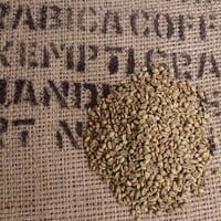 爆安!【コーヒー生豆】 ウガンダロブスタ/カウェリエステート/ナチュラル10kg gaudi-bakery_coffee-081-1kg