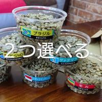 インドネシア マンデリン G-1（コーヒー生豆） 10kg | モンデンコーヒー