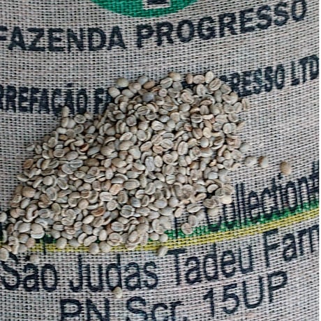 プレミアムハニー生豆コーヒー 【5Kg】送料無料 コーヒー生豆