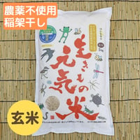 2025年産・生きもの元気米プレミアム稲架干し玄米5kg コシヒカリ
