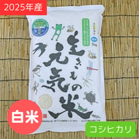 生きもの元気米（白米）コシヒカリ5kg 2025年産