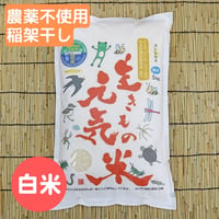 2025年産・生きもの元気米プレミアム稲架干し白米5kg コシヒカリ