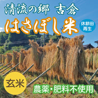 2025年産・清流の郷吉倉 はさぼし米 （玄米）