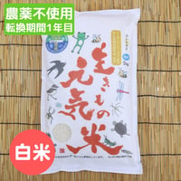 2025年産・生きもの元気米プレミアム（転換期間中）白米5kg コシヒカリ