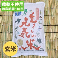 2025年産・生きもの元気米プレミアム（転換期間中）玄米5kgコシヒカリ