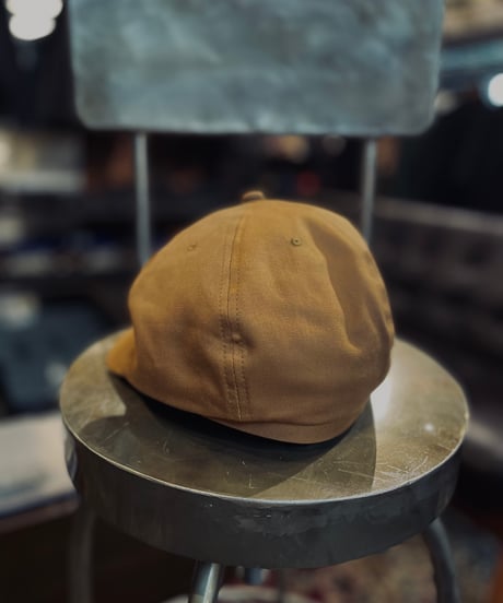 THE H.W.DOG & CO. NEWS PAPER CAP