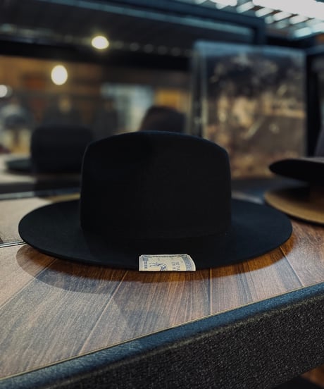THE H.W. DOG & CO. TRAVELERS