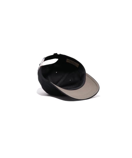 THE H.W.DOG & CO. SIGN LOGO LOW CAP