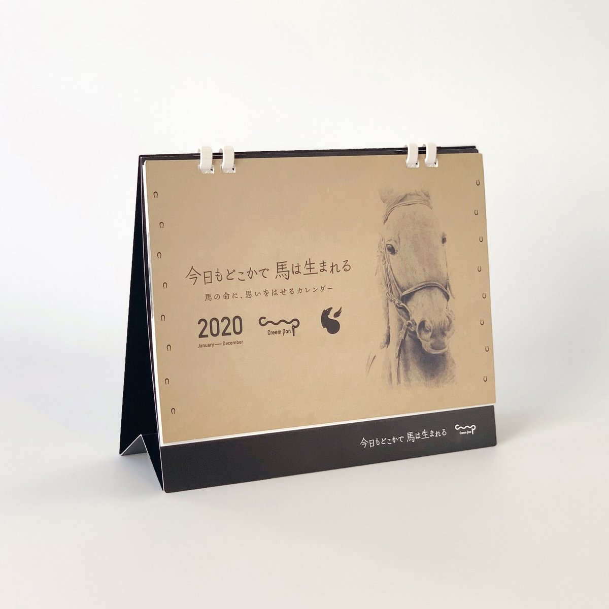 DVD 今日もどこかで馬は生まれる 今日もどこかで馬は