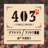 グアテマラ：アゾテア農園【苦味も酸味も穏やかで、しっかりとコクがある】 200g