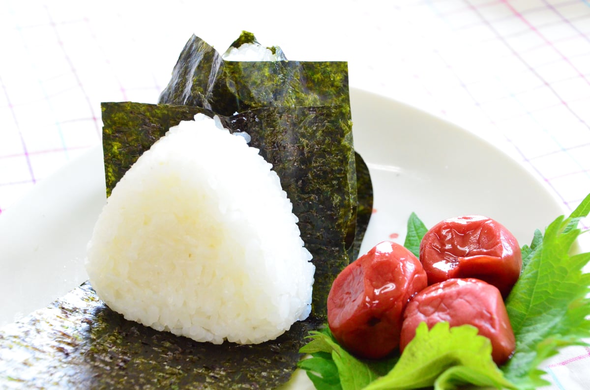 潮匠 新のり焼き海苔（全形10枚） | のり工房矢本の店