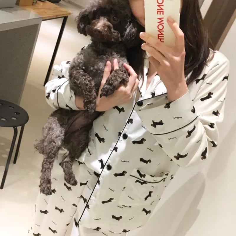 【新品】DAKS ダックス　犬刺繍入り　半袖パジャマ　ルームウェアM 長ズボン 000000004545-06-l.jpg?t=