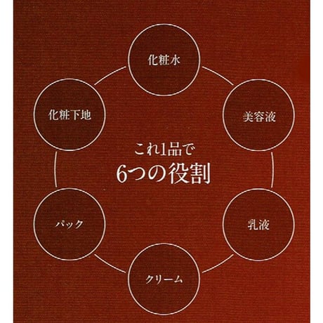 モイストオールインワンモイストゲル　300ｇ