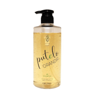 putelo プテロＡＲシャンプーグランディール　700mL