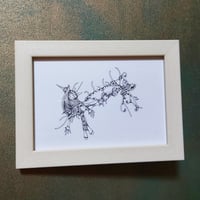 額入り原画『ドキがムネムネ』