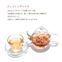フェミニンブレンド　ティーバッグ2g×10包入り